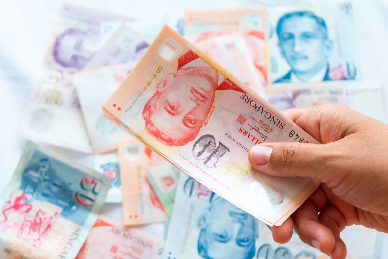 Save money and earn extra income